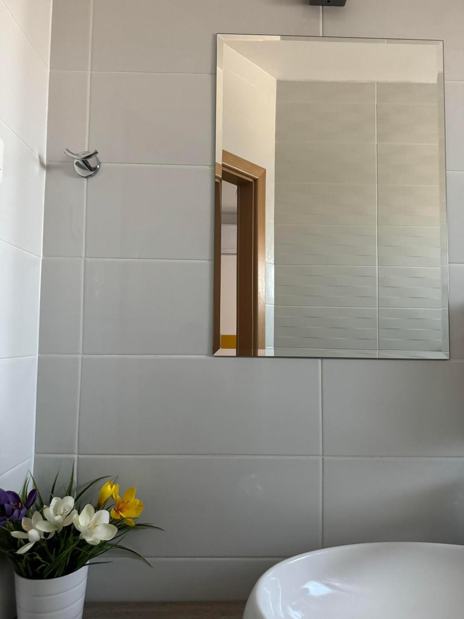 Pansion Komfor Fitea Osijek Rom bilde